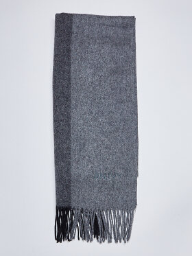 AN IVY - An Ivy Scharf