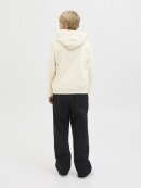 Jack & Jones - JORNORREBRO EMB SWEAT HOOD NOO