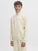 Jack & Jones - JORNORREBRO EMB SWEAT HIGH NEC